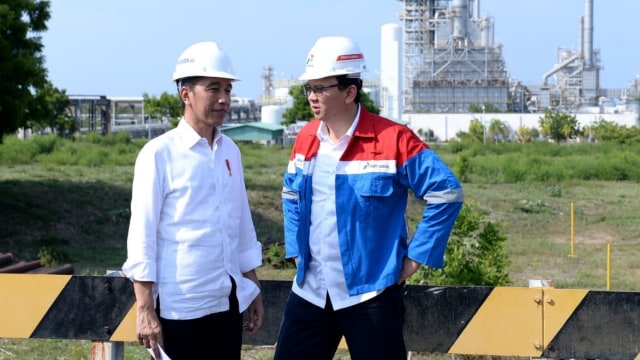 Ini Cara Ahok dan Erick Thohir Ucapkan Selamat Ulang Tahun ke Jokowi