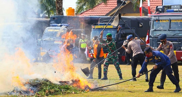 Waspada! 19 Hotspot Terdeteksi di Kotim