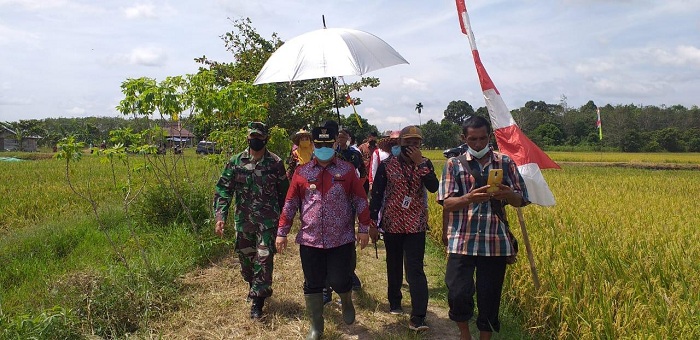 Bantuan Alat Berat: Dulu Bupati Bilang Lima Sekarang Cuma Tiga