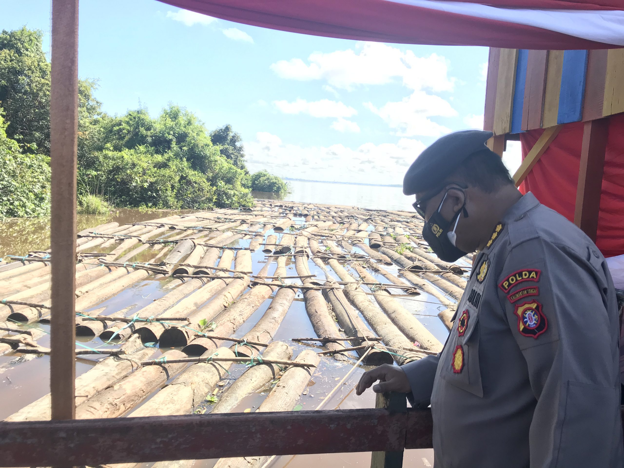 Polisi Tangkap Pelaku Illegal Logging, 400 Batang Kayu Log Diamankan