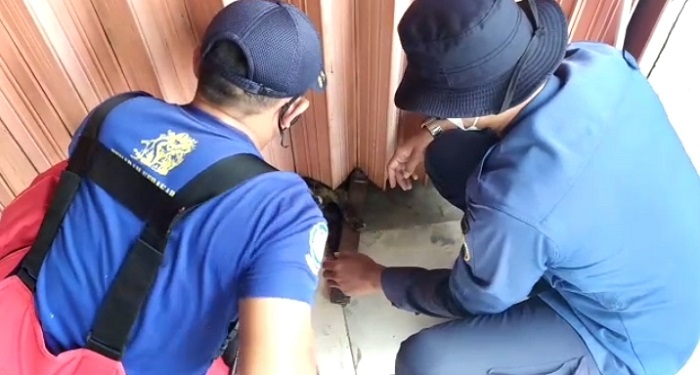 Begini Aksi Damkar Selamatkan Kucing yang Terjepit Rolling Door