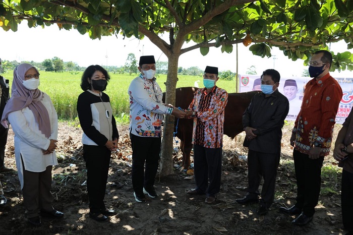 Pulpis Dapat Bantuan Hewan Kurban dari Wagub Kalteng