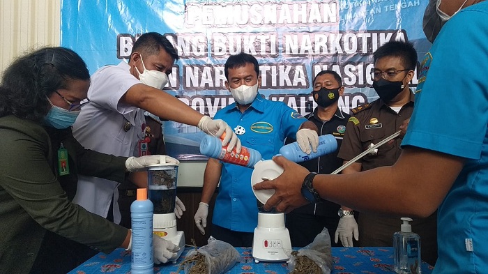 BNNP Ingatkan Kalteng Sedang Dilirik Pengedar Ganja