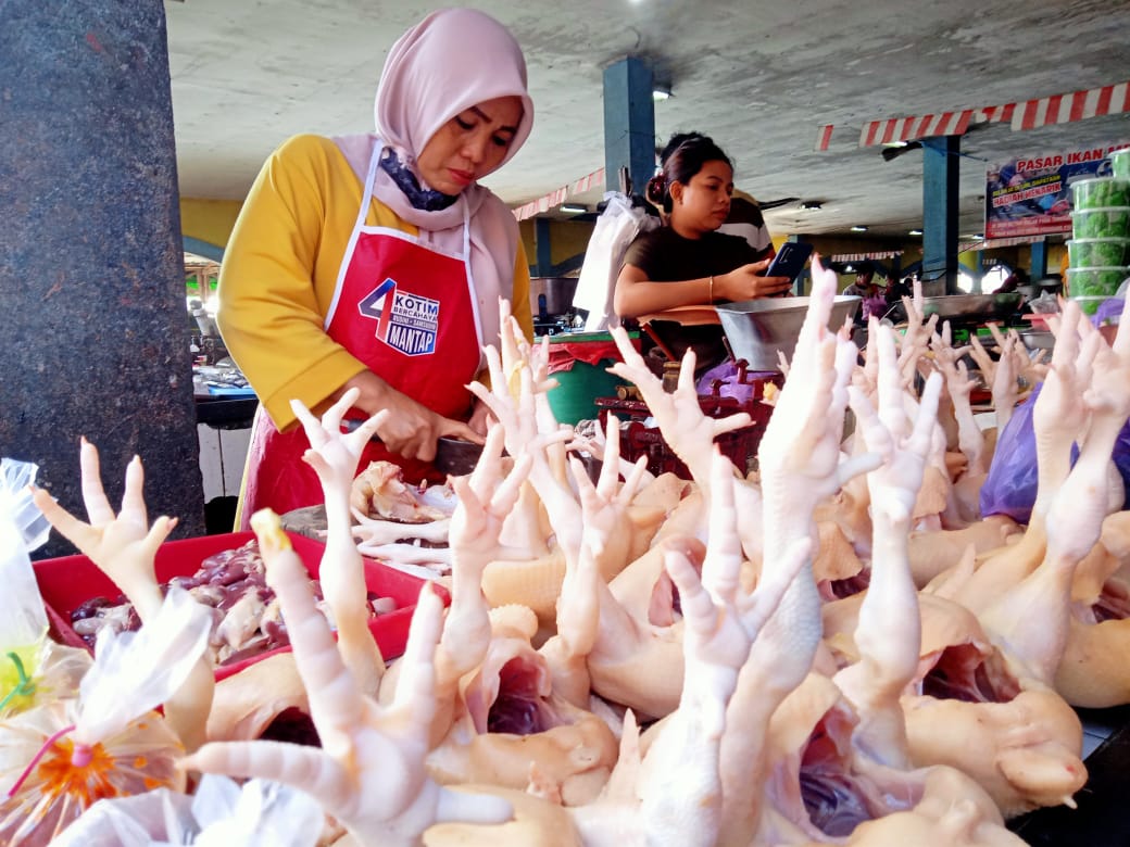 Harga Ayam Potong Di Kotim Mulai Menurun Meski Sempat Meroket