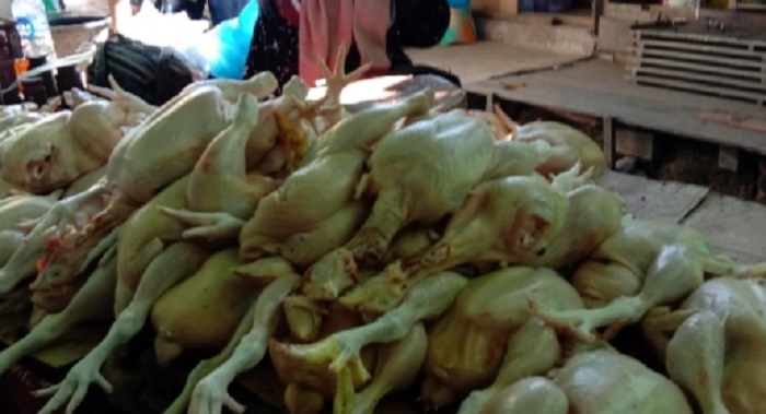 Ini Penyebab Harga Ayam Turun Jadi Rp 38 Ribu per Kg