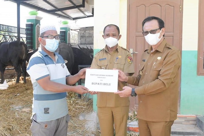 Jelang Idul Adha, Bupati Belu Serahkan Bantuan Hewan Kurban