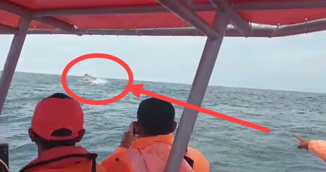Hari ke Tujuh Pencarian, Kapal KM Putri Ayu 3 Ditemukan Terbalik dan Terapung