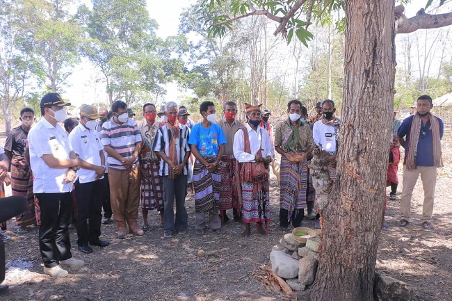 Tokoh Adat Belu: Ini Tujuan Ritual dan Peraturannya