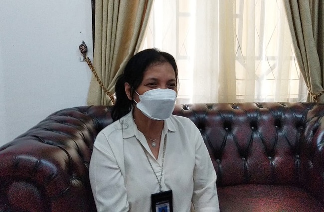 Menilik Upaya Pelindungan dan Pengembangan Bahasa Daerah dalam Seminar Internasional