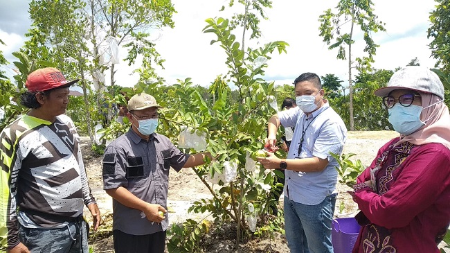 Punya Prospek Bagus, Manfaatkan Lahan Tidur untuk Kebun Buah-Buahan