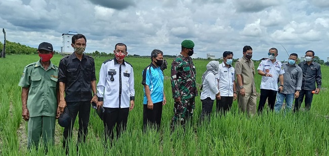 Kasdim 1012/Btk Apresiasi Bantuan Alsintan Untuk Poktan di Desa Damparan
