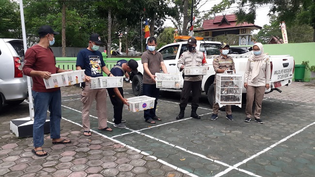 Penyelundupan Ribuan Burung Dilindungi dari Kobar Digagalkan