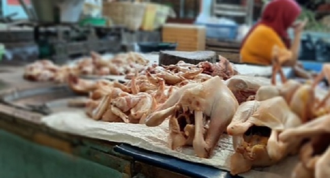 Minim Stok, Harga Daging Ayam Terus Naik di Pangkalan Bun