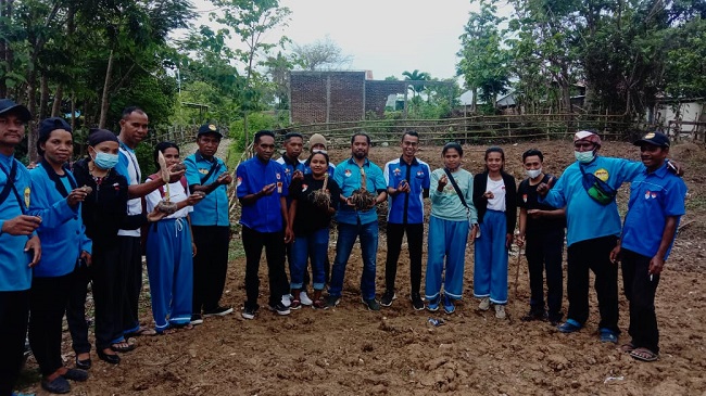 THS-THM Rayakan Ulang Tahun dengan Sosialisasi Berkebun Porang