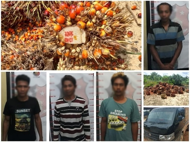 Kepergok Curi Buah Sawit, Empat Orang Warga Kabuau ini Diamankan Polisi