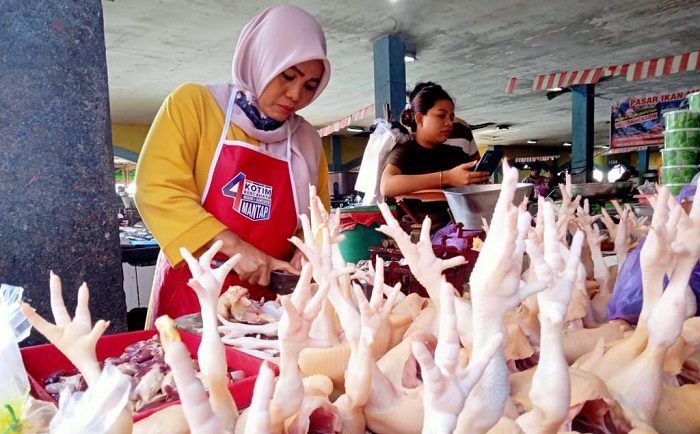 Harga Ayam Potong di Sampit Melonjak