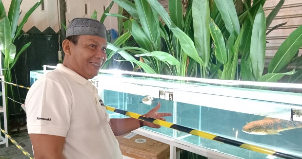 Kontes Ikan Peyang DPRD Kobar Cup Diikuti Peserta dari Jawa & Bali