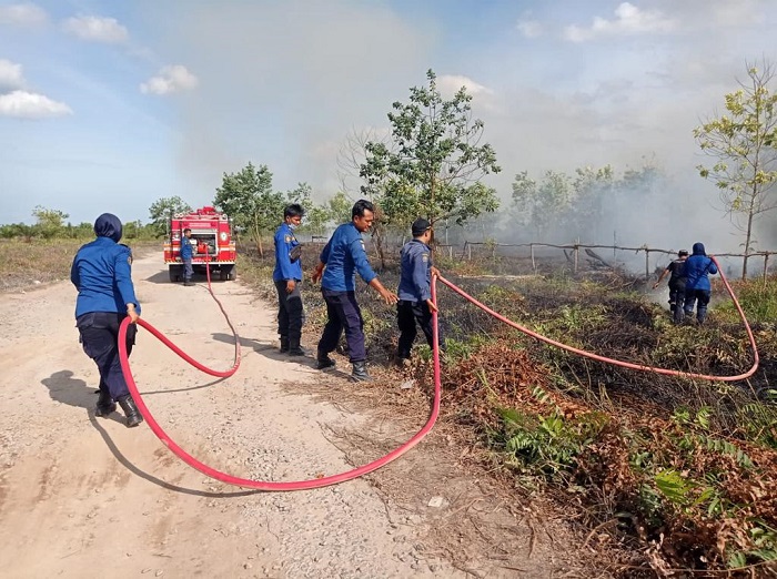Api Lahap Satu Hektare Lahan di Sampit