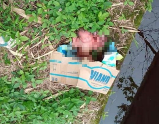 Geger! Ada Bayi Dalam Kardus Ditemukan Warga Ketapang