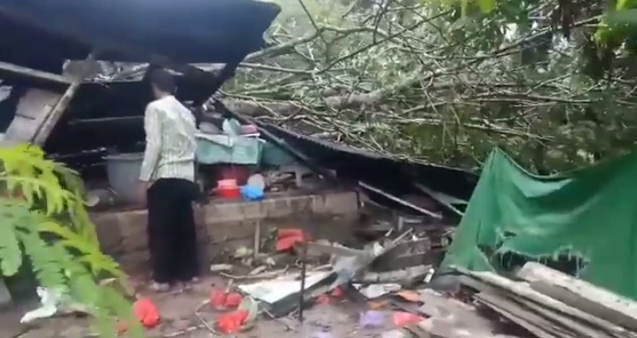 Cuaca Ekstrem di Kobar, Pohon Tumbang Timpa Rumah Warga