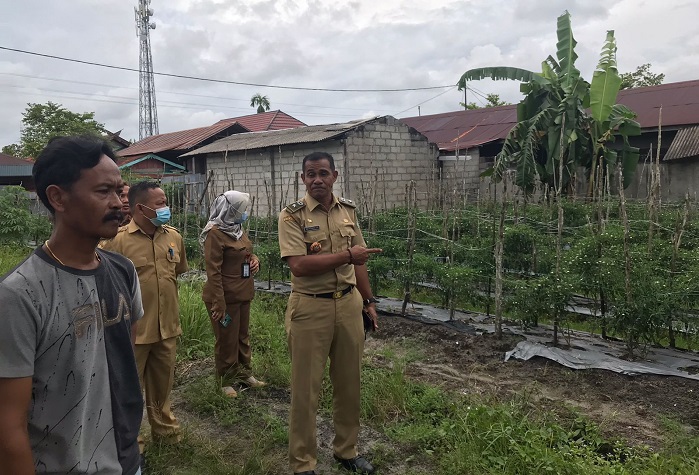 Lurah Pasir Putih Anjurkan Warganya Jadi Petani: Menjanjikan, Omzet Ratusan Juta