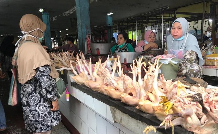 Tak Mau Ketinggalan, Harga Ayam Potong di Sampit Juga Merangkak Naik