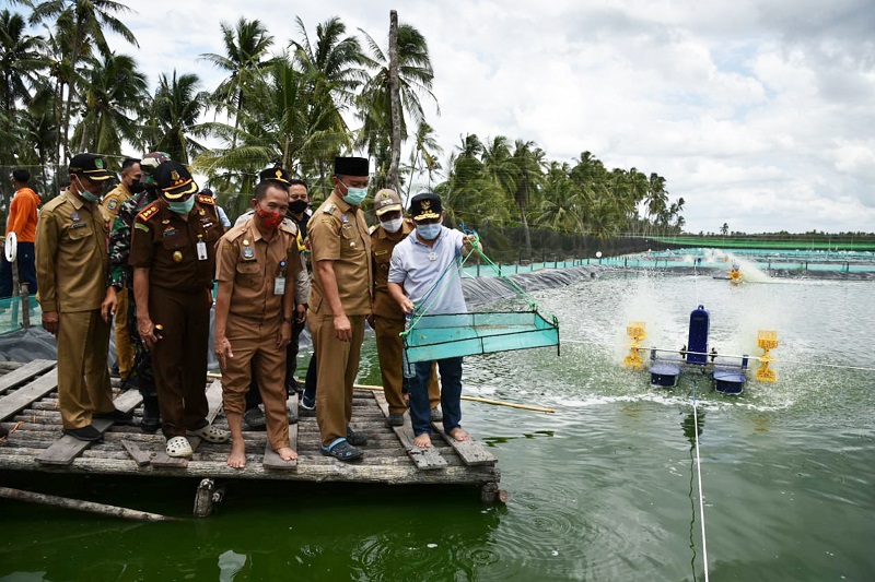 Optimalkan Potensi Kelautan, Gubernur Kalteng akan Bangun Kawasan Tambak Udang Vaname