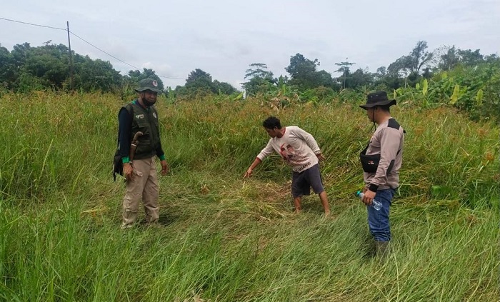 BKSDA Pastikan Jenazah Warga Luwuk Ranggan Bukan Gigitan Beruang, Tapi…
