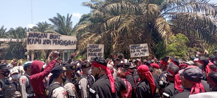 Didemo Masyarakat Adat, Karyawan PT Salonok Ladang Mas Pasang Badan