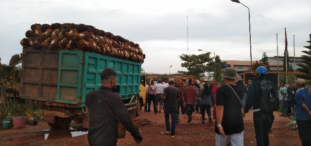 Soal Sengketa Lahan dengan PT Salonok Ladang Mas, Jainudin: Semua Sudah Clear