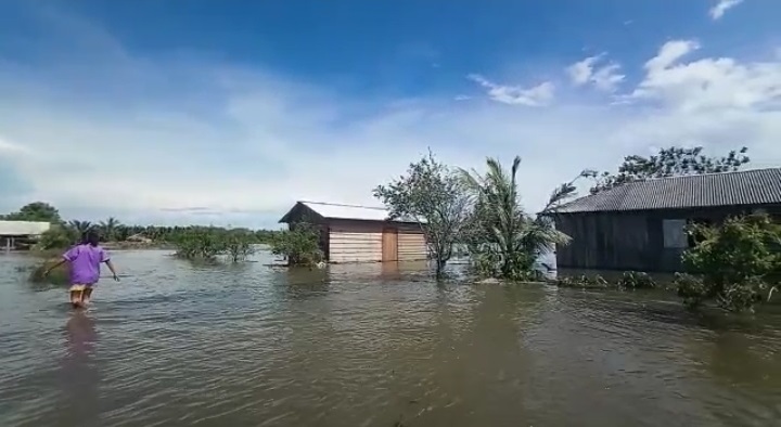 Kalimantan Tengah Lagi-Lagi Banjir, WALHI: Bukti Nyata Darurat Ekologis