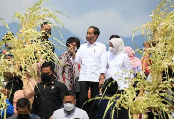Ganjar dan Jokowi Syukuran Bareng Ribuan Petani Perhutanan Sosial