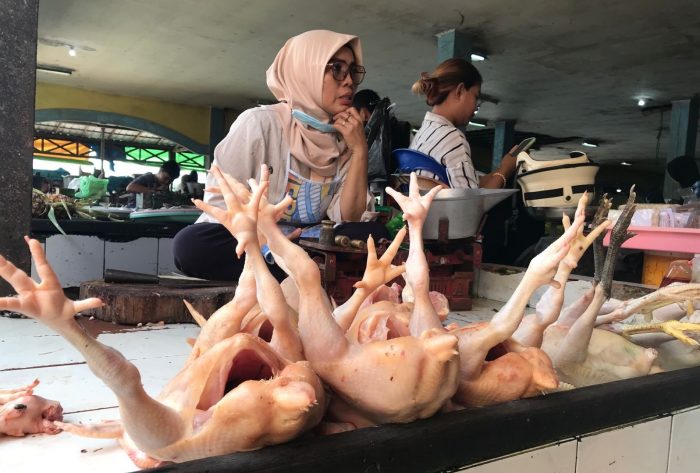 Harga Ayam Potong di Sampit Hari Ini Mencapai Rp 55 Ribu, Termahal Sejak Januari