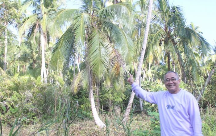 Himtani Dorong Masyarakat Samuda Pertahankan Keberadaan Perkebunan Kelapa Dalam