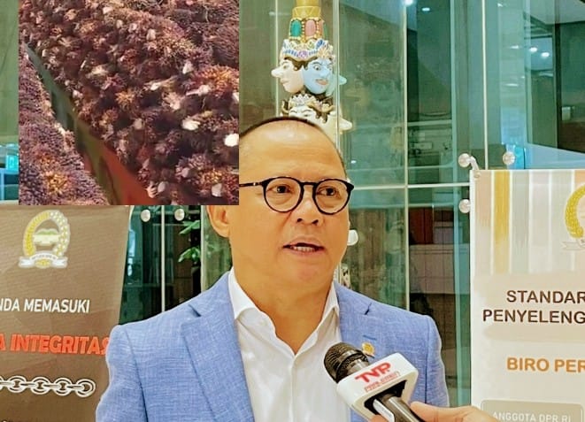 Harga TBS Anjlok, Mukhtarudin Minta Pemerintah Pangkas Pungutan Ekspor