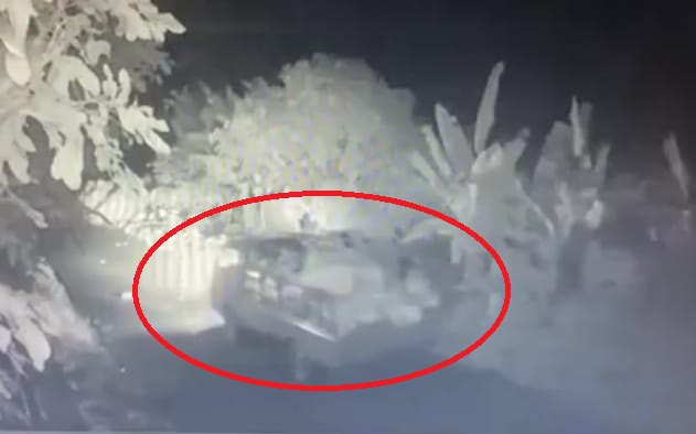 Terekam CCTV, Warga Minta Pembuang Bangkai Ayam di Jalan Ahmad Yani Diamankan