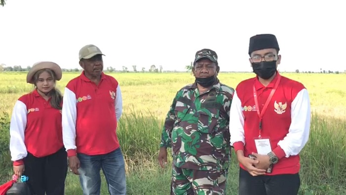 Petani di Tamban Luar Terancam Gagal Panen