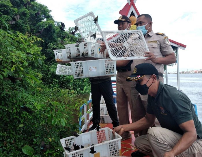 BKSDA dan Pos Karantina Pertanian Sampit Gagalkan Penyelundupan Burung Langka dari Pelabuhan