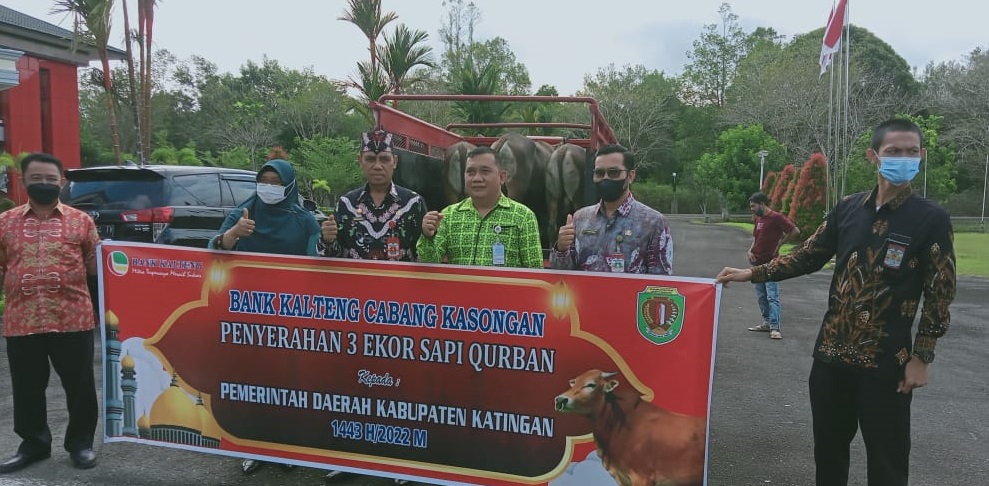 Pemkab Katingan Terima Lima Ekor Sapi dari Bank Kalteng