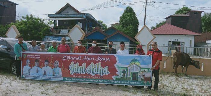 Pemkab Katingan Terima Bantuan Belasan Ekor Sapi dari Pemprov Kalteng
