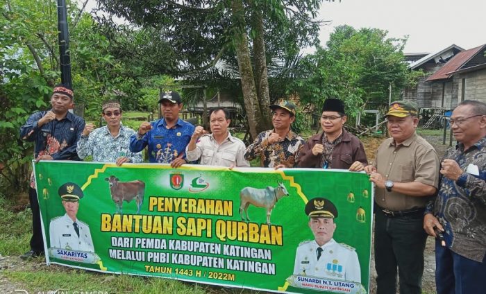 Lewat PHBI, Pemkab Katingan Salurkan 13 Ekor Sapi Qurban