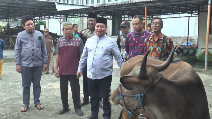 Seluruh Kecamatan Terima Hewan Qurban dari Pemkab Kotim