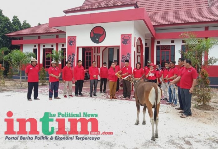 DPC PDIP Katingan Salurkan Dua Ekor Sapi Hewan Kurban