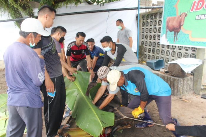 RS Bhayangkara Palangka Raya Laksanakan Pemotongan Tiga Sapi dan Dua Kambing Kurban