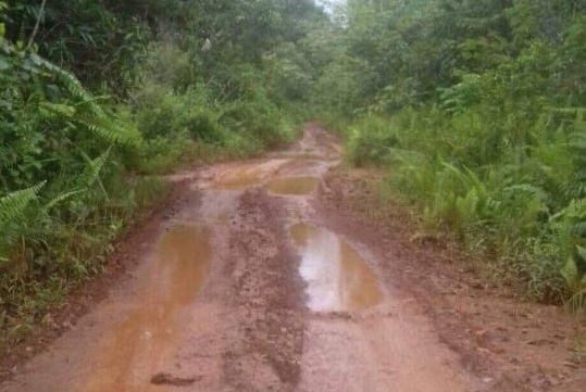 Penjaga Alat Berat di Desa Kenyala Diserang Orang Tak Dikenal, Motor Dirampas