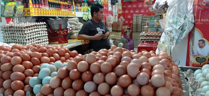 Merdeka! Harga Ayam Potong dan Telur di Sampit Naik