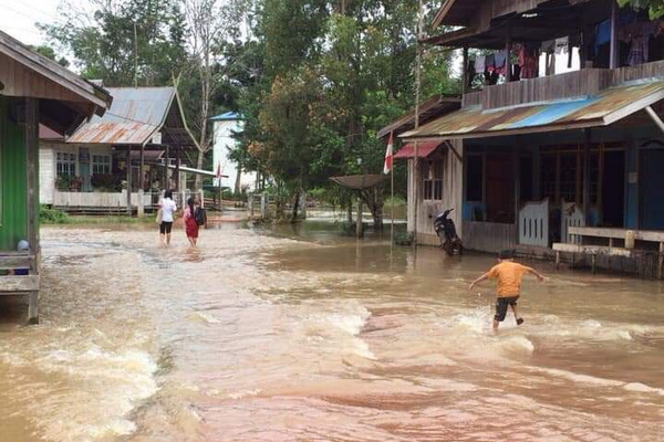 4 Desa di Kecamatan Tualan Hulu Terendam Banjir
