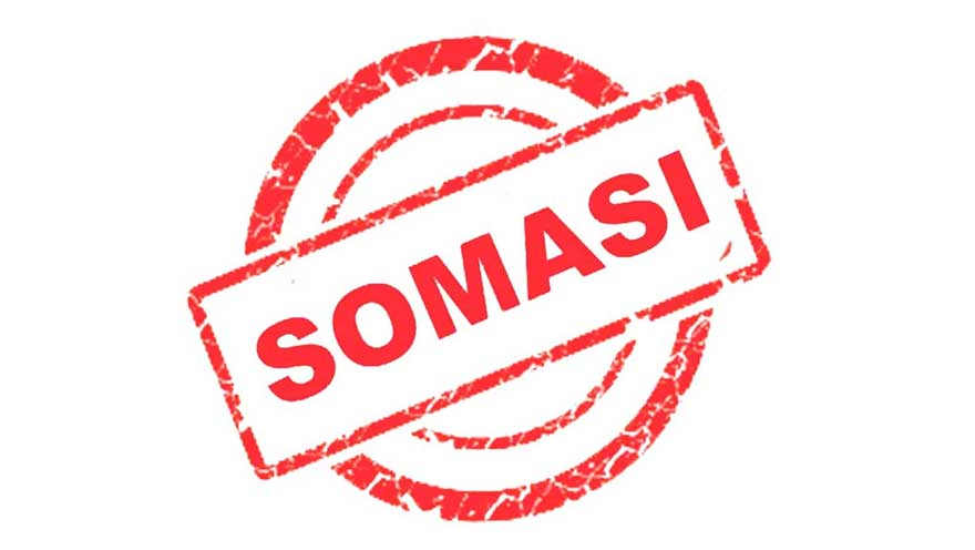 Disebut Telah Ingkar Janji, PBS Kelapa Sawit PT BMB Disomasi Perusahaan Mitra
