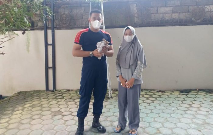 Gunakan Pipa Besi, Damkar Kobar Berhasil Evakuasi Kucing yang Terjepit Bangunan