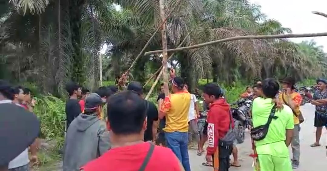 Warga Baboal Baboti Klaim Lahan Mereka Dijadikan HGU Perkebunan PT UAI